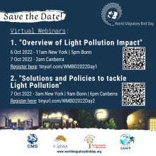 Water Wmbd2023 World Migratory Bird Day Water Wmbd2023 World Migratory Bird Day